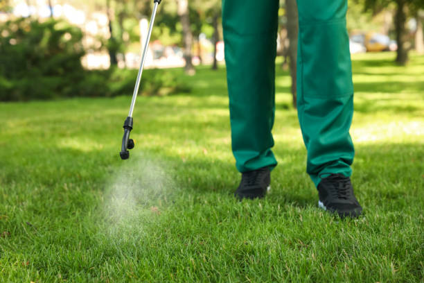 Best Exterminator Services  in Lavonia, GA