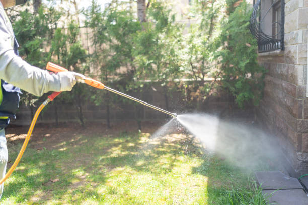 Best Residential Pest Control  in Lavonia, GA