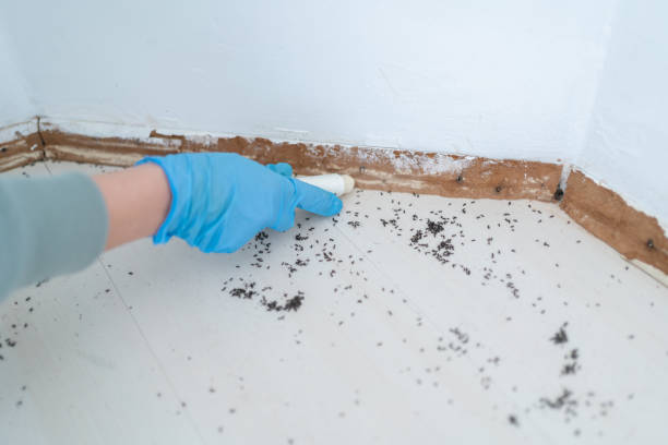 Pest Control for Restaurants in Lavonia, GA